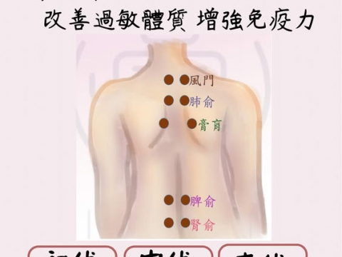 中醫夏季三伏貼